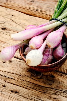 Fresh onion bulbs