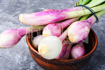 Fresh onion bulbs