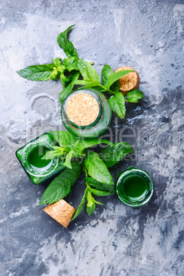 Essential mint oil with green leaves