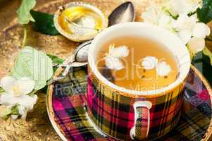 Herbal tea with jasmine