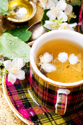 Herbal tea with jasmine