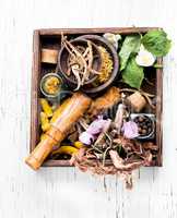 Healing herbs in wooden box