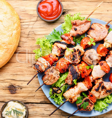Appetizer kebab,grilled meat