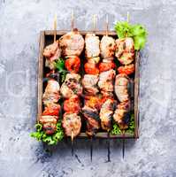 Appetizer kebab,grilled meat