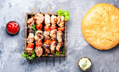 Appetizer kebab,grilled meat