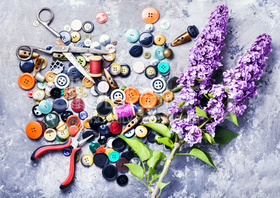 Bright buttons and lilac branch