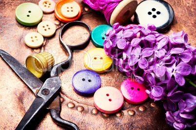 Bright buttons and lilac branch