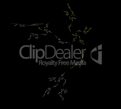 image of one Digital Fractal on Black Color image of one Digital Fractal on Black Color