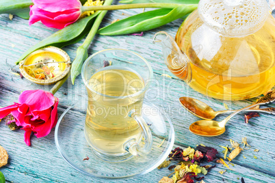 Herbal tea and spring tulip