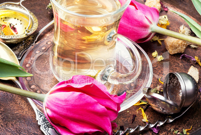 Herbal tea and spring tulip