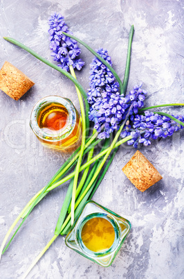 Extraction of flowers hyacinth