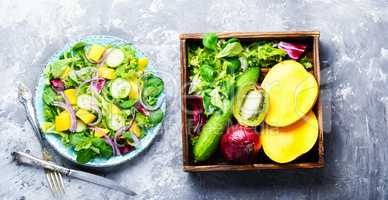 Vegetarian salad with vegetable and mango