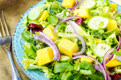 Vegetarian salad with vegetable and mango