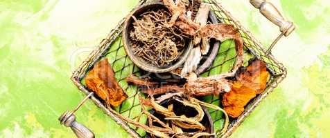 Set of roots of medicinal plants