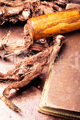 medicinal root Hedysarum