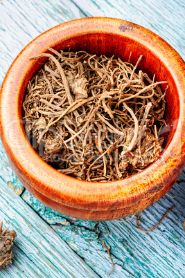 Roots and rhizomes Valerian officinalis