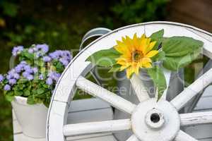 Gartendekoration altes Wagenrad aus Holz und Sonnenblume