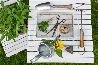 Kräuter im Garten mit einer Gießkanne uns Schere von oben wei