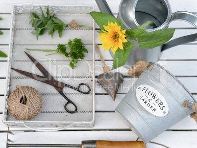 Kräuter im Garten mit einer Gießkanne uns Schere von oben wei