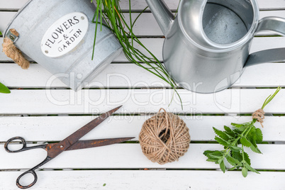 Kräuter und Garten Utensilien auf weißem Holz Hintergrund von