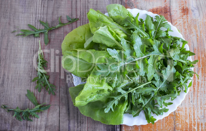 Fresh green arugula leaves.