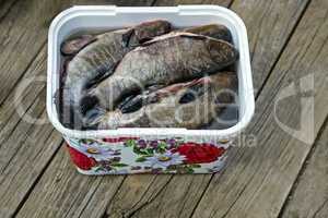 Purified fresh water fish in the container.