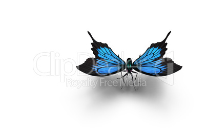 The Blue Morpho Butterfly . 3D rendering.