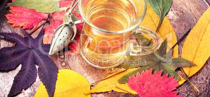 Autumn composition with autumnal tea