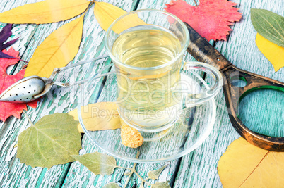 Autumn composition with autumnal tea