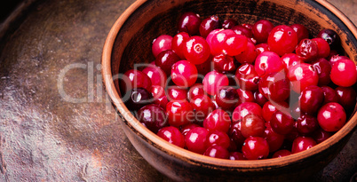 Heap of berries cranberries