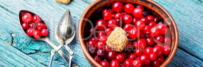 Ripe berries cranberries