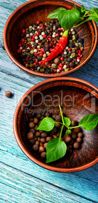 Different kinds of peppercorns.