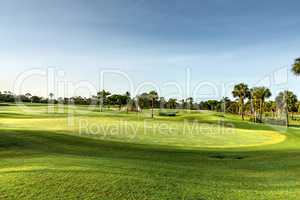 Emerald green grass on a golf course in Barbados