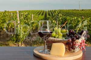 Glass of red wine in front of a vineyard