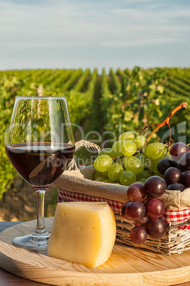 Closeup of glass of red wine in front of a vineyard