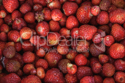 ripe strawberry background