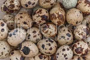 Quail eggs background