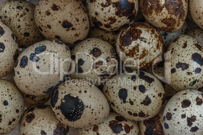 Quail eggs background