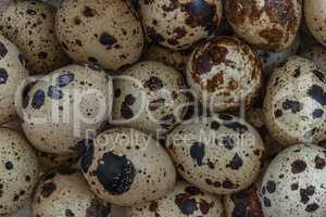 Quail eggs background