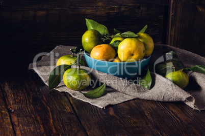 Still Life with Tangerines in Blue Bowl.