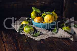 Still Life with Tangerines in Blue Bowl.