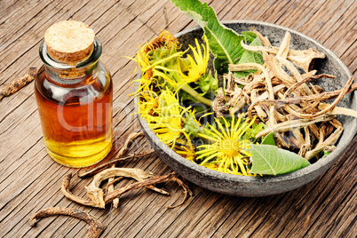 Root and tincture of elecampane