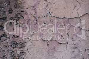 Decayed pink peeling plaster concrete wall.