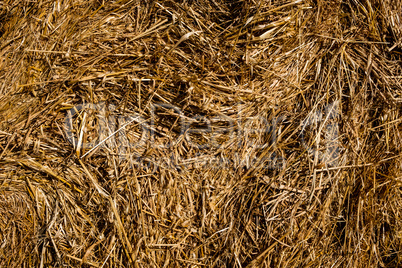 Hay roll texture detail.