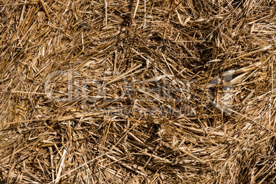 Hay roll texture.
