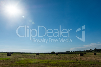 Straw bales with bright sun on a green field. Beautiful backgrou