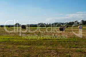 Landscape background of straw bales in a field.