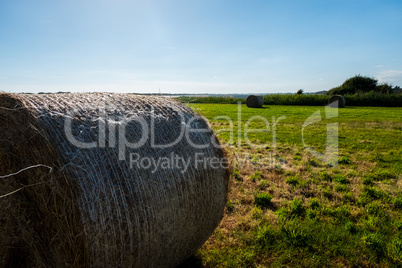 Close-up of a hay roll on a filed. Beautiful background image.