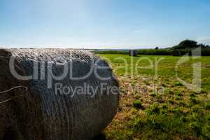 Close-up of a hay roll on a filed. Beautiful background image.