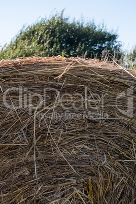 Close-up of hay bale texture.